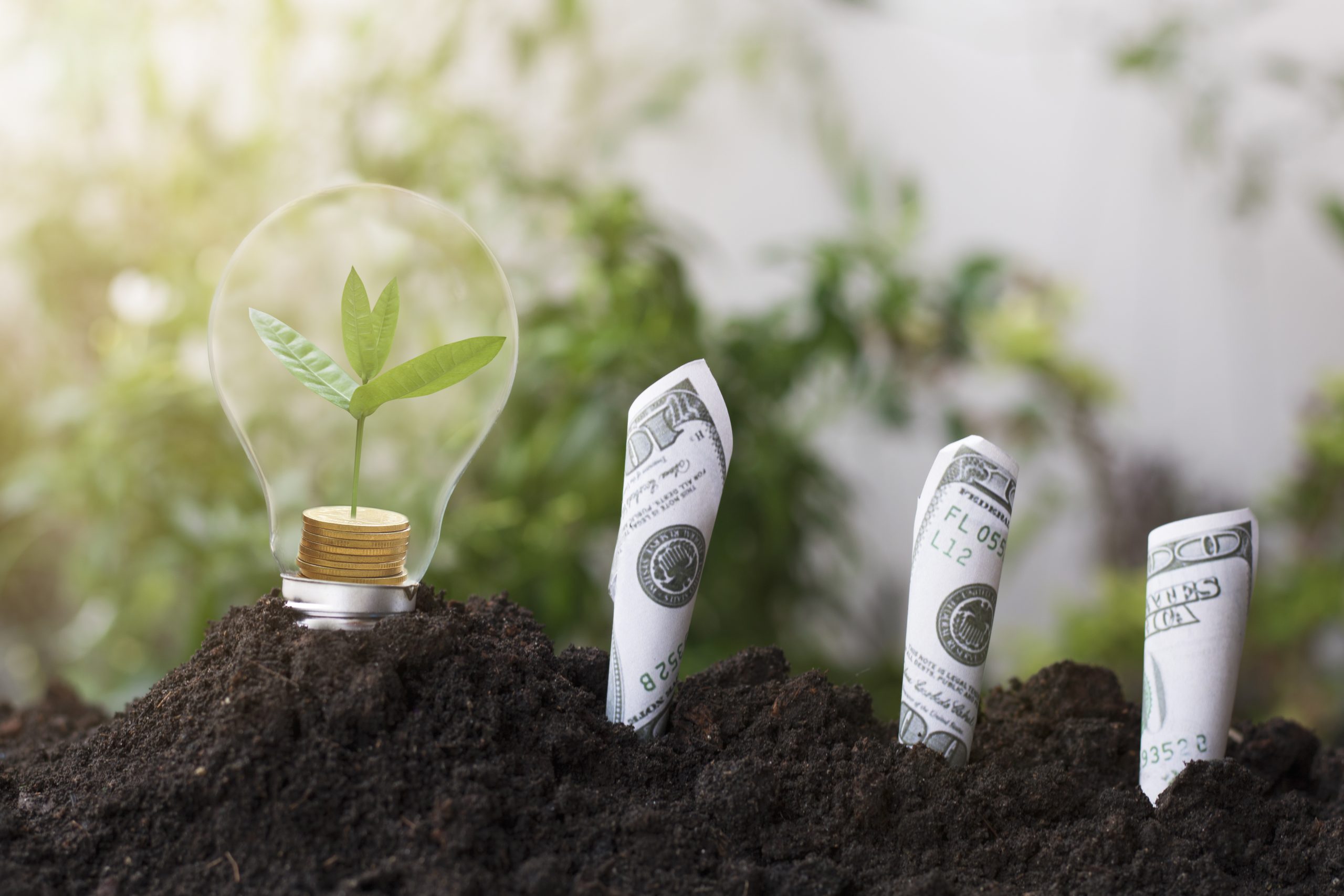 Destiny Capital image of light bulb and dollars to represent ESG investing